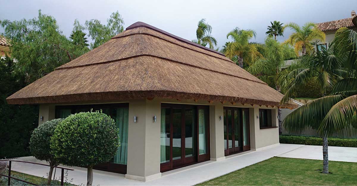 Blog post image